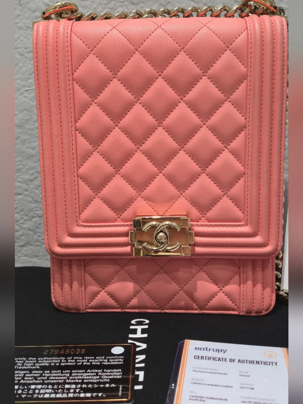 CHANEL Norrh South Boy With Champagne Gold Hardware - Picture 2 of 11